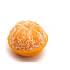 Mandarino Oronules -Coníferas Tienda mandarino oronules 2