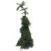 Picea Omorika Nana Pendula -Coníferas Tienda picea omorika pendula