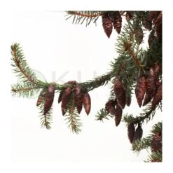 Picea Omorika Nana Pendula 11 Picea Omorika Nana Pendula -Coníferas Tienda picea omorika pendula 4